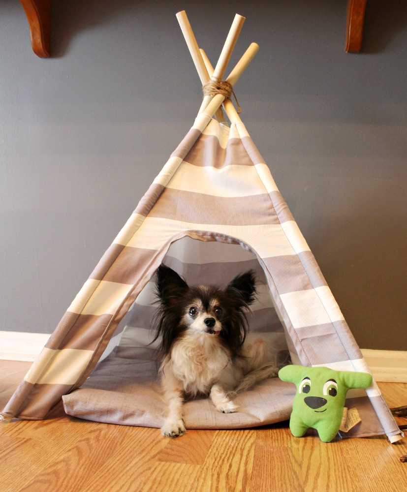 DIY Dog Tent
 DIY Dog Tent