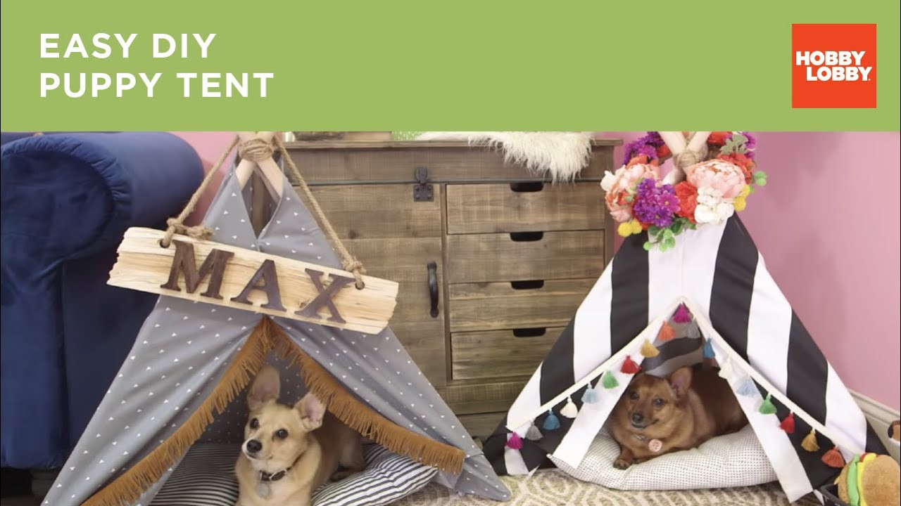 DIY Dog Tent
 Easy DIY Puppy Tent