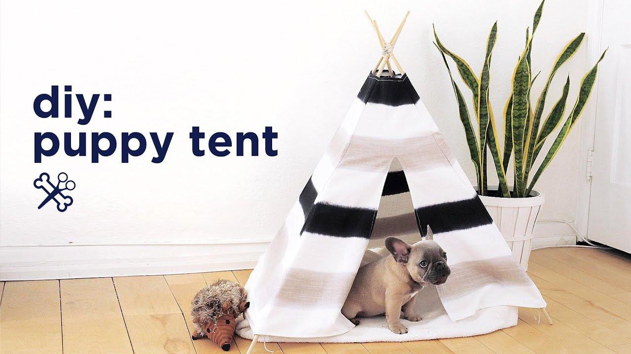 DIY Dog Tent
 DIY PUPPY PET TENT