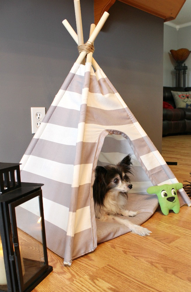 DIY Dog Tent
 DIY Dog Tent