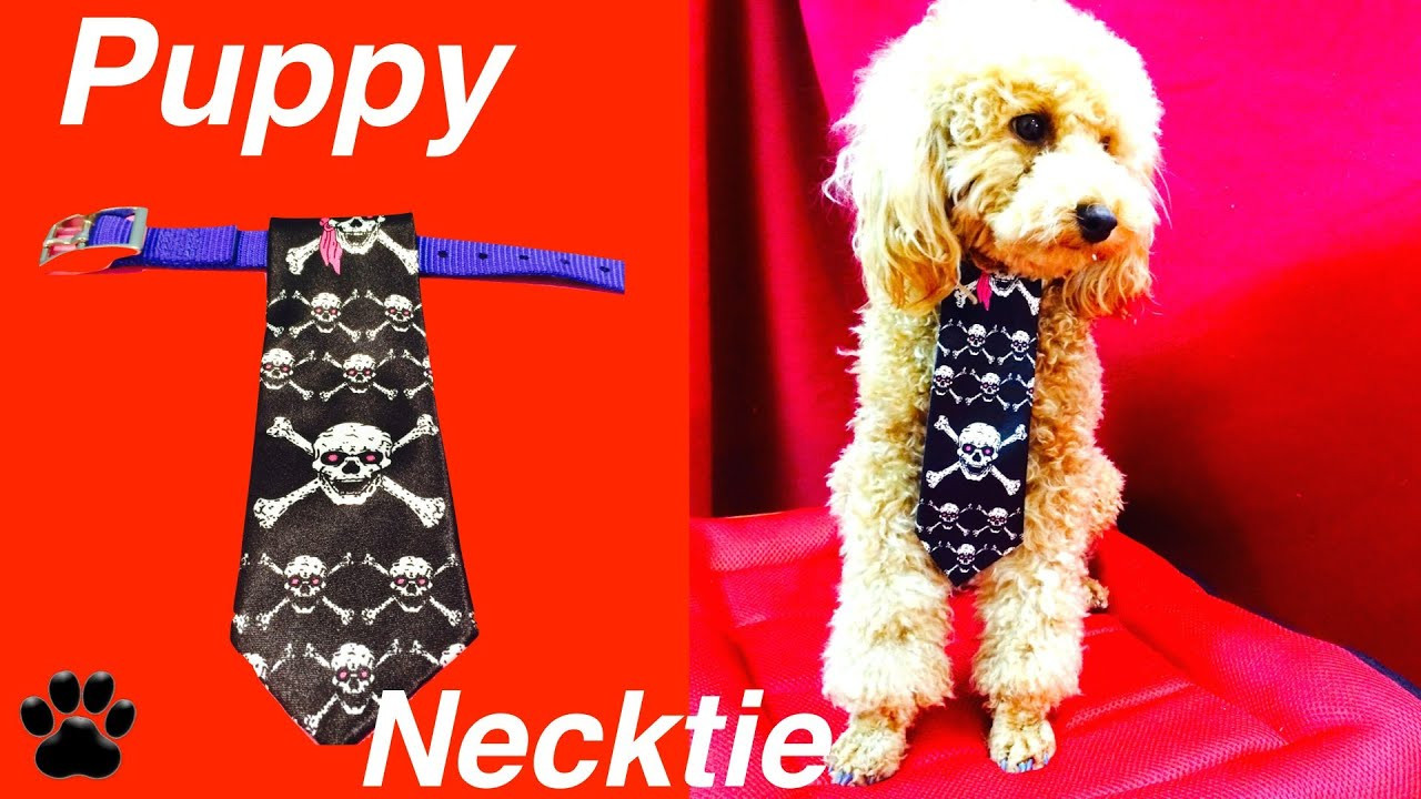 DIY Dog Tie Out
 CHRISTMAS DOG TIE Festive Xmas Formal Neck Tie DIY Dog