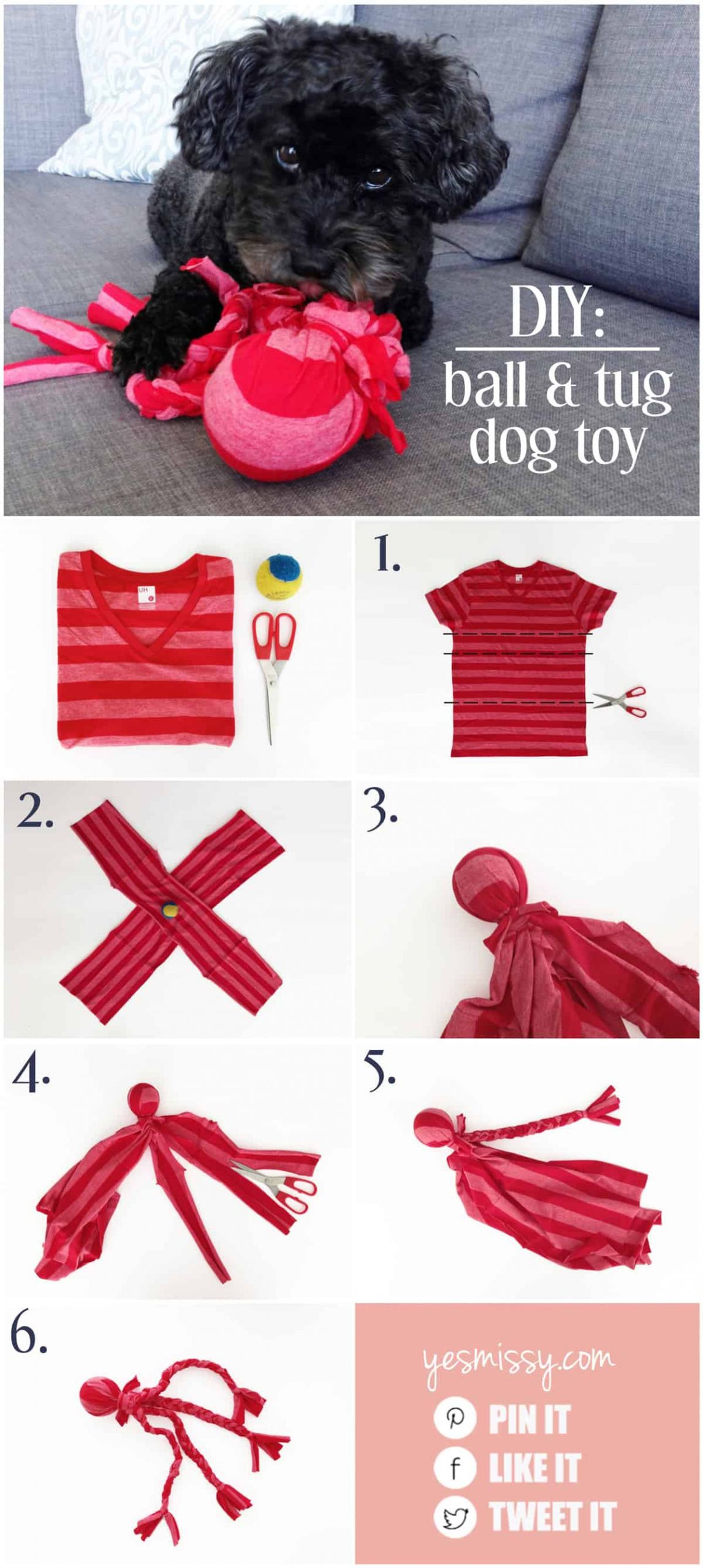 DIY Dog Toy T Shirt
 Your dog will love this DIY tug toy