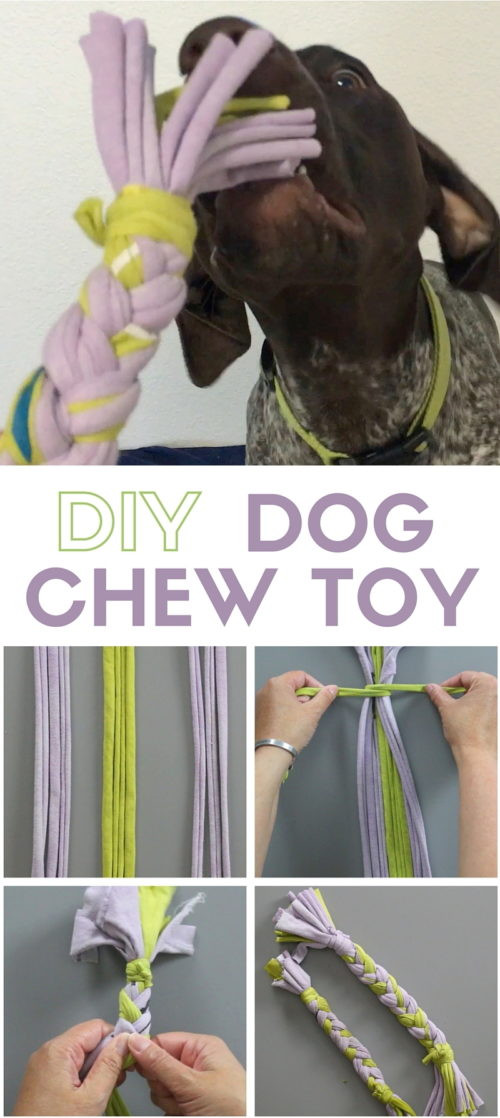 DIY Dog Toy T Shirt
 How to Make a Dog Chew Toy out of Old Shirts The Crafty