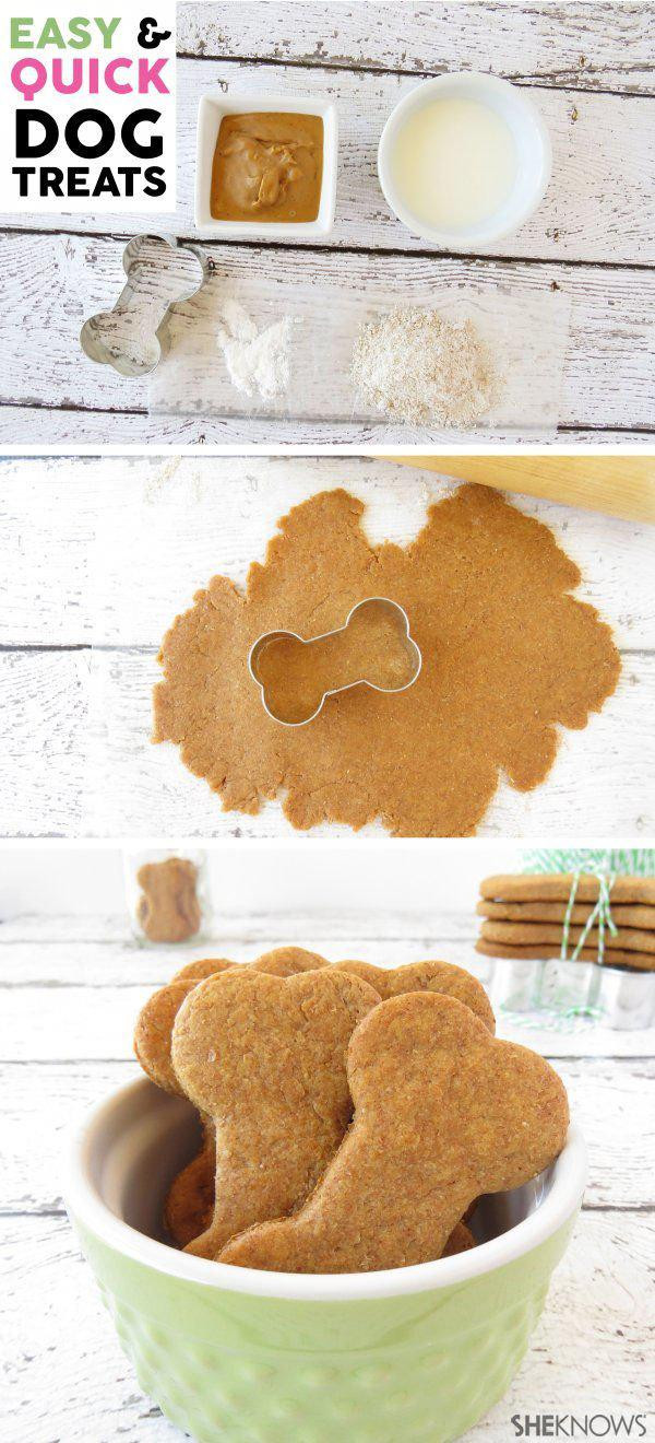 DIY Dog Treats Easy
 Simple Homemade Dog Treats You Can Whip Up in 20 Minutes