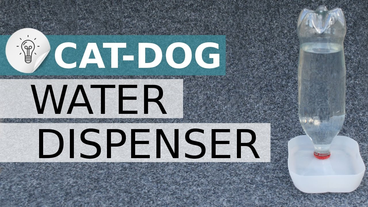 DIY Dog Water Dispenser
 Water dispenser for cat dog and pets Water fountain