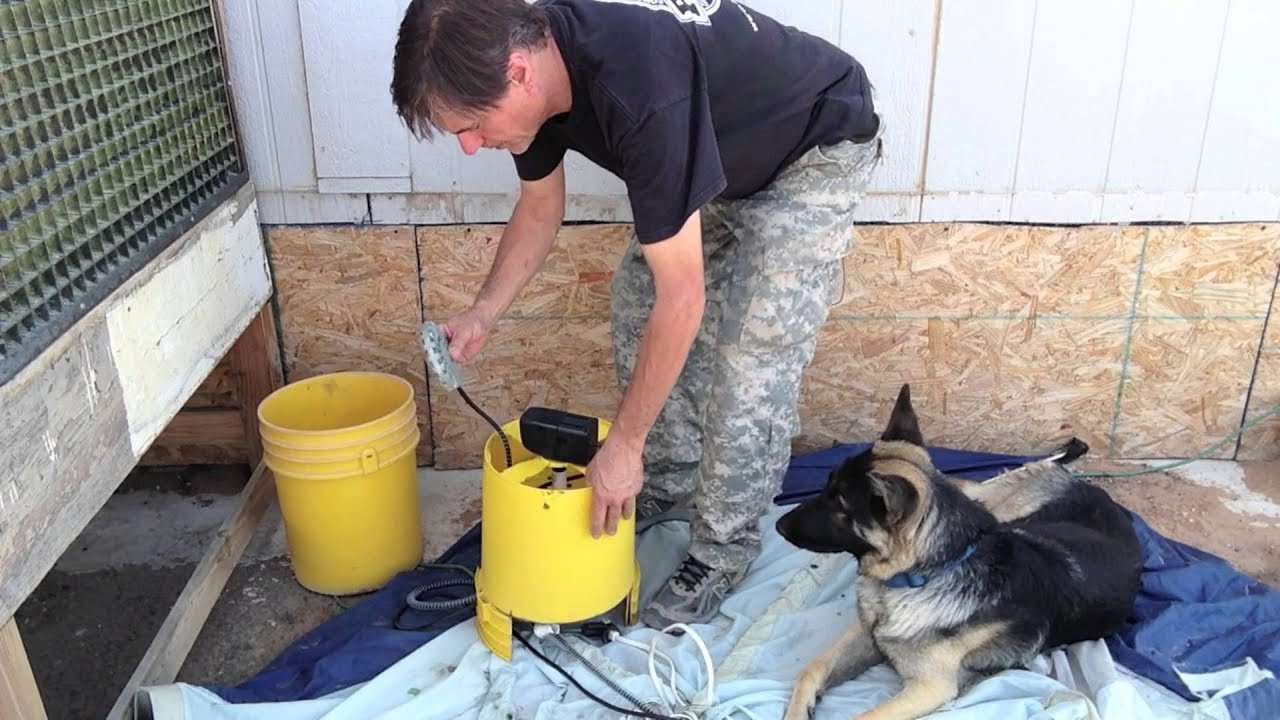 DIY Dog Water Dispenser
 DIY Circulating Dog Water Bowl