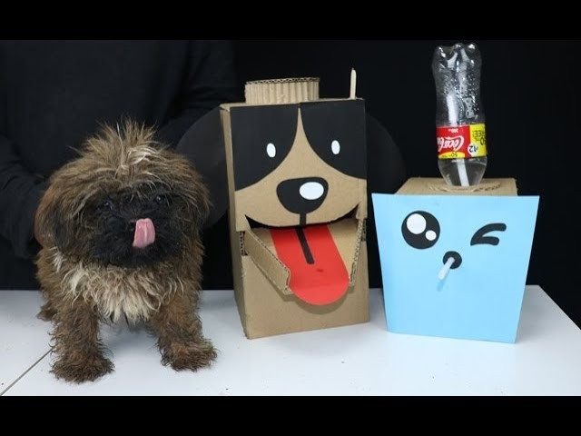 DIY Dog Water Dispenser
 DIY Puppy Dog Food & Water Dispenser from Cardboard at Home