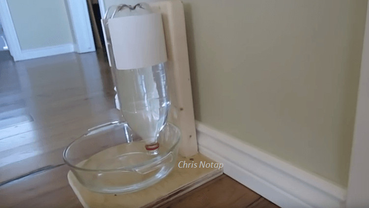 DIY Dog Water Dispenser
 [Video] Building The Ultimate DIY Automatic Dog Bowl Water