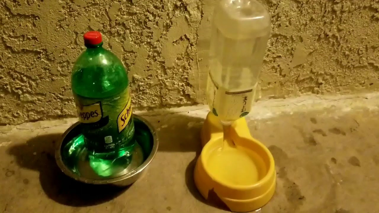 DIY Dog Water Dispenser
 DIY Pet Stainless Steel Water Dispenser Fountain with 2