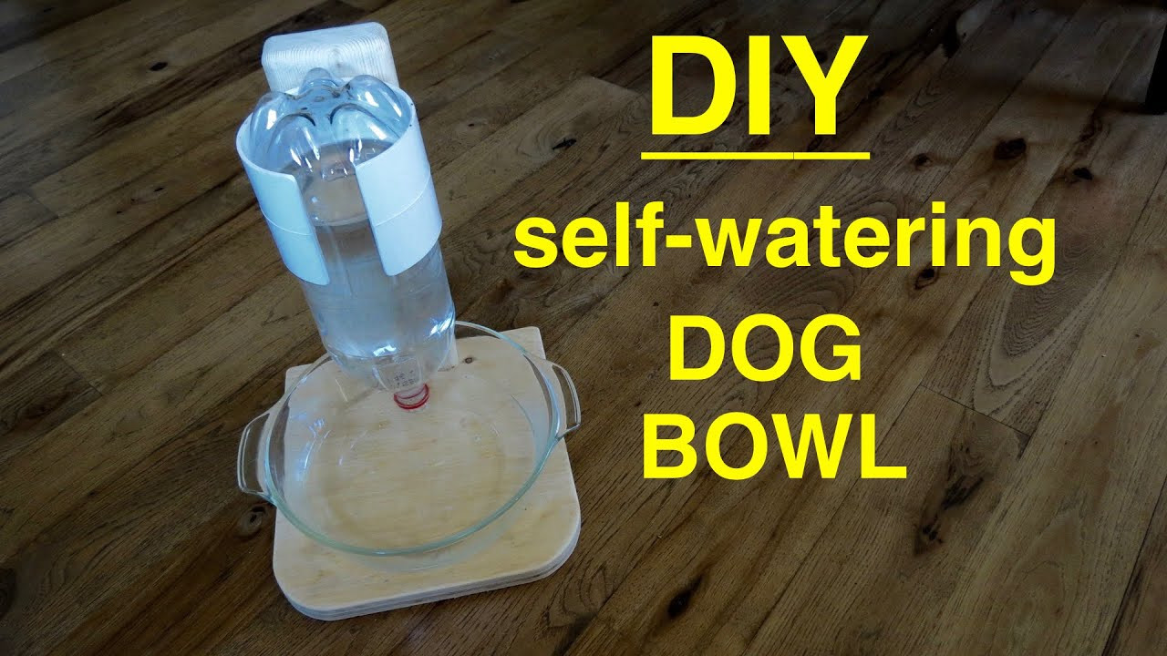 DIY Dog Water Dispenser
 DIY Self Filling Water Bowl for Your DOG CAT that
