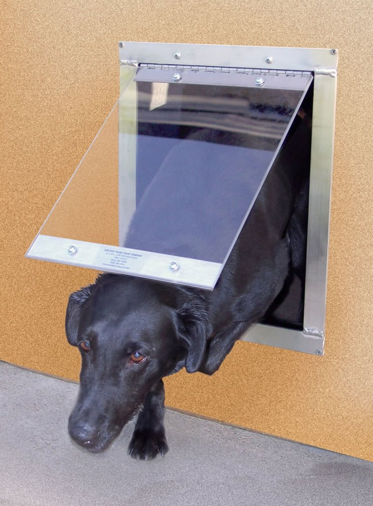 DIY Doggy Door
 Pet Doors for Your Home Design Build Planners