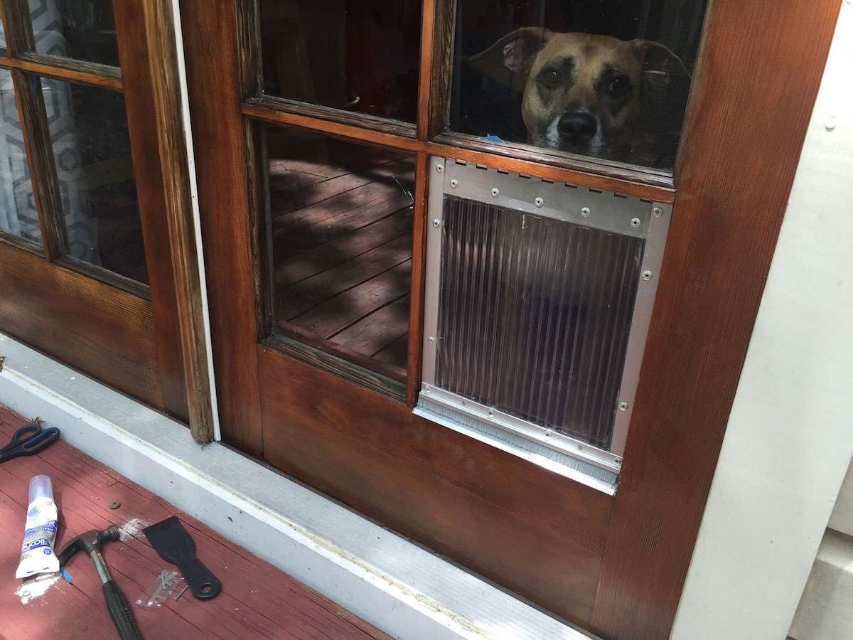 DIY Doggy Door
 DIY dog door for french door window panes howchoo