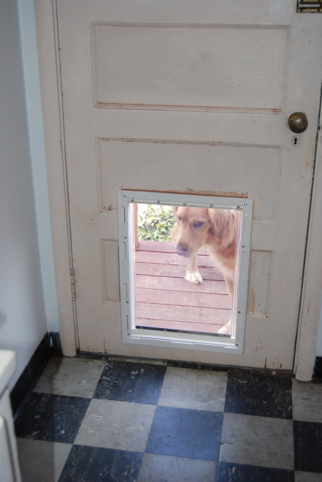 DIY Doggy Door
 Doggy Door Ideas & Our Westie Loves Her New Doggy Door
