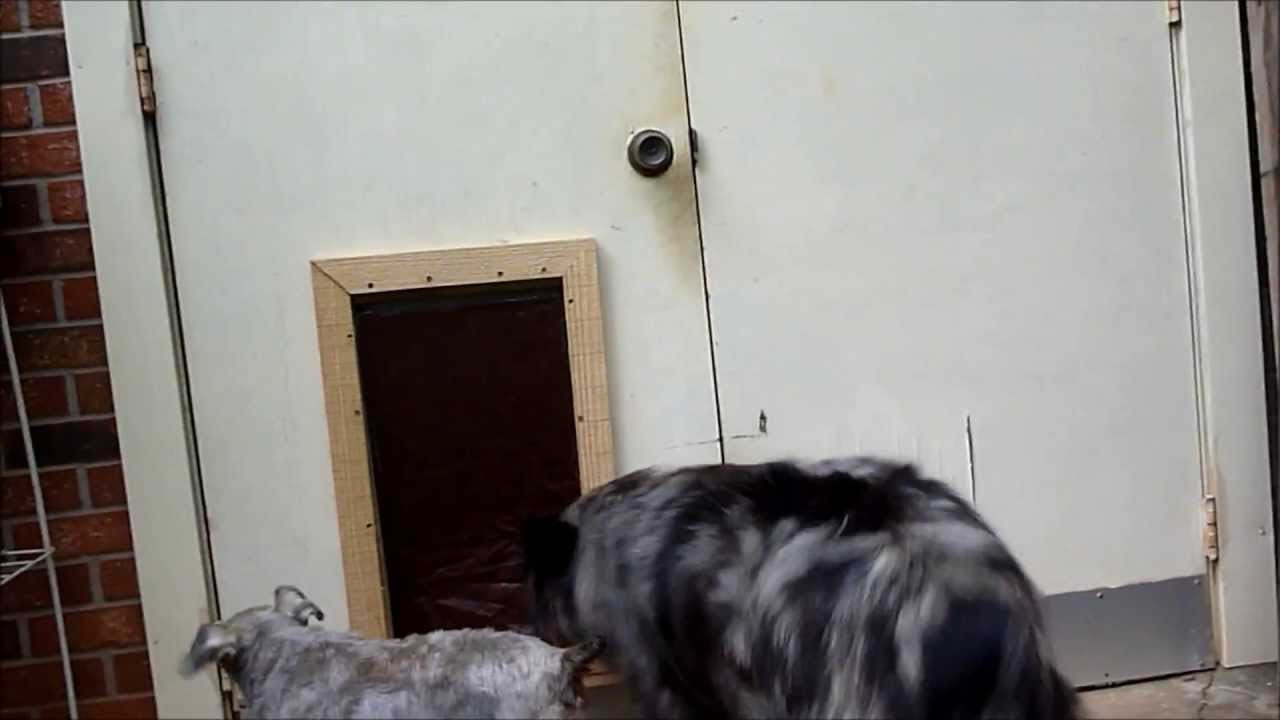 DIY Doggy Door
 Homemade Doggie Door Not A Tutorial