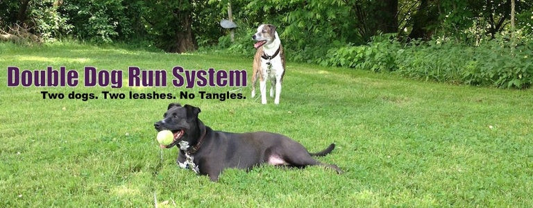DIY Double Dog Tie Out
 How to Install a Tangle Free Tie Out System for Two Dogs