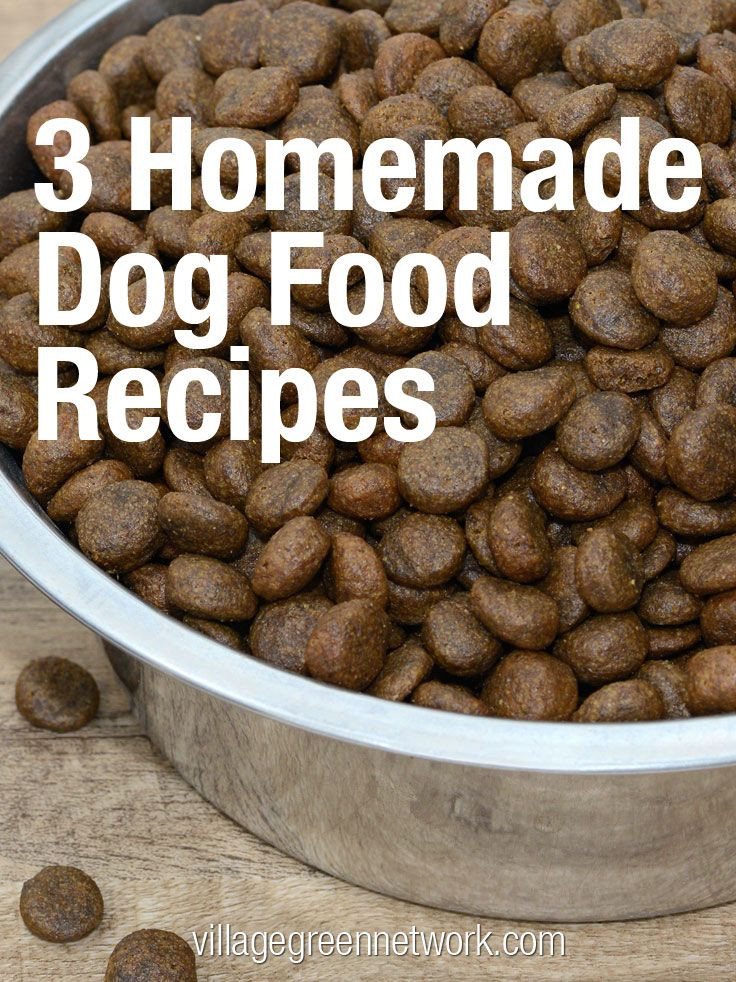 DIY Dry Dog Food
 3 Homemade Dog Food Recipes Pet Ideas