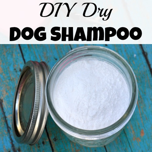 DIY Dry Dog Shampoo
 DIY Dry Dog Shampoo