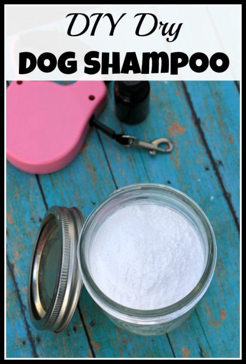 DIY Dry Dog Shampoo
 DIY Dry Dog Shampoo