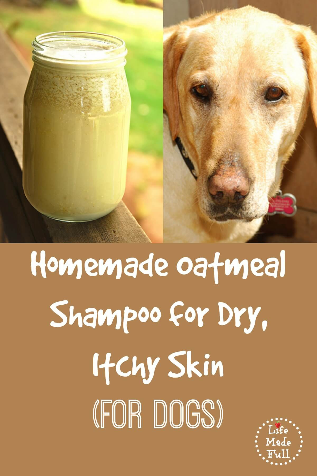 DIY Dry Dog Shampoo
 The Best Homemade Shampoo for Dogs