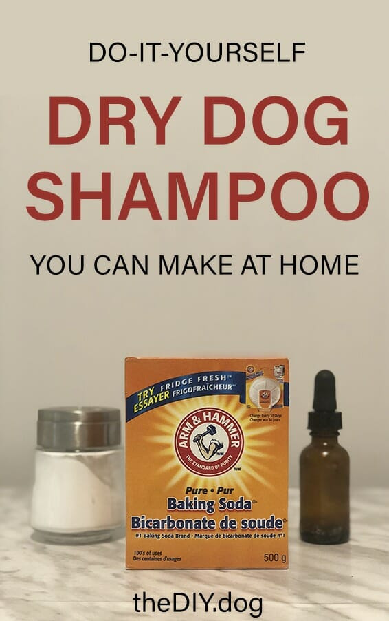 DIY Dry Dog Shampoo
 Got A Stinky Dog This DIY Dry Dog Shampoo Can Help Kol