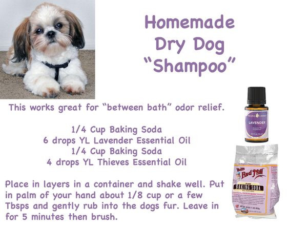 DIY Dry Dog Shampoo
 Homemade Dry Dog "Shampoo" works great between baths
