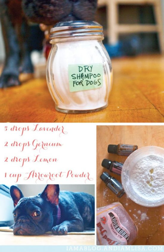 DIY Dry Dog Shampoo
 Dry Dog Shampoo Homemade Recipe Video Tutorial