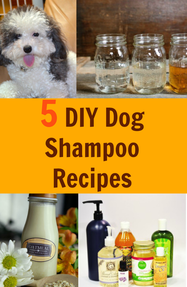 DIY Dry Dog Shampoo
 5 DIY Dog Shampoo Recipes Fabulessly Frugal