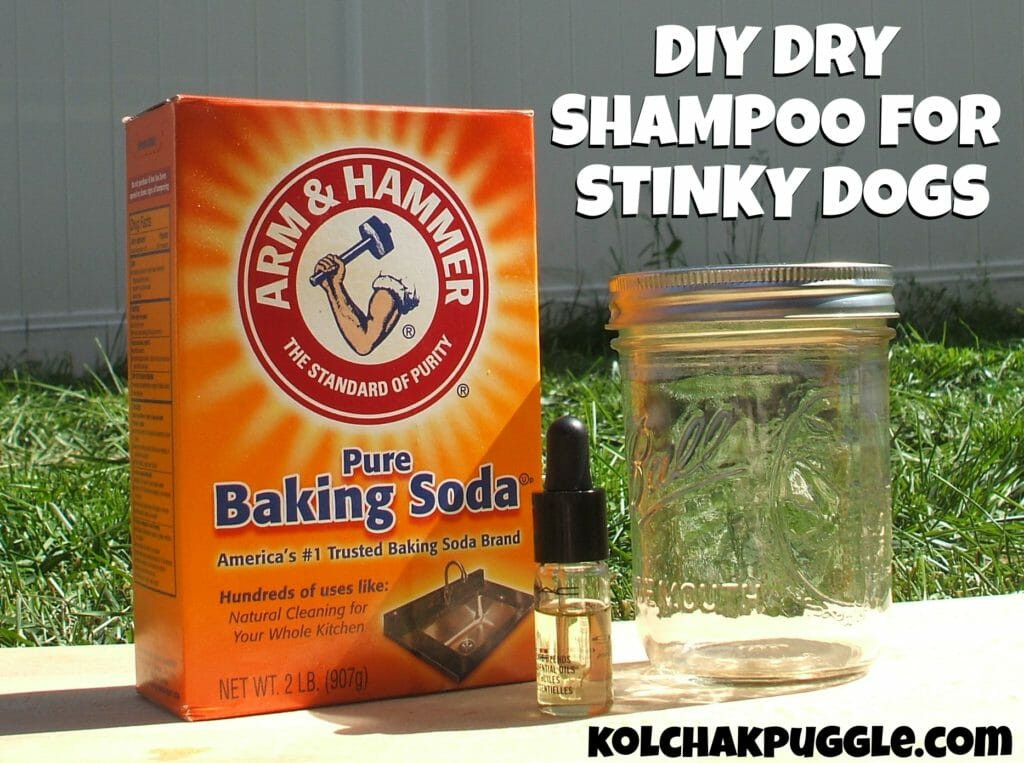 DIY Dry Dog Shampoo
 Got A Stinky Dog This DIY Dry Dog Shampoo Can Help Kol