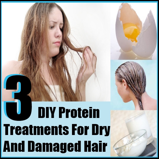DIY Dry Hair Treatment
 3 DIY Protein Treatments For Dry and Damaged Hair