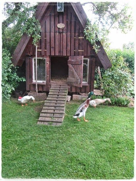 DIY Duck House Plans
 37 Free DIY Duck House Coop Plans & Ideas that You Can