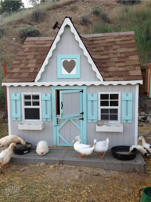DIY Duck House Plans
 37 Free DIY Duck House Coop Plans & Ideas that You Can