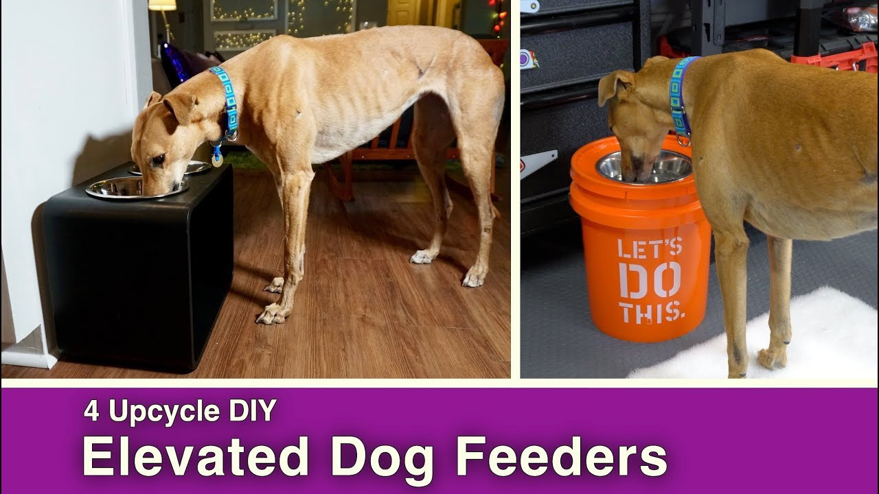 DIY Elevated Dog Bowls
 4 Upcycle DIY Elevated Dog Feeder Bowls