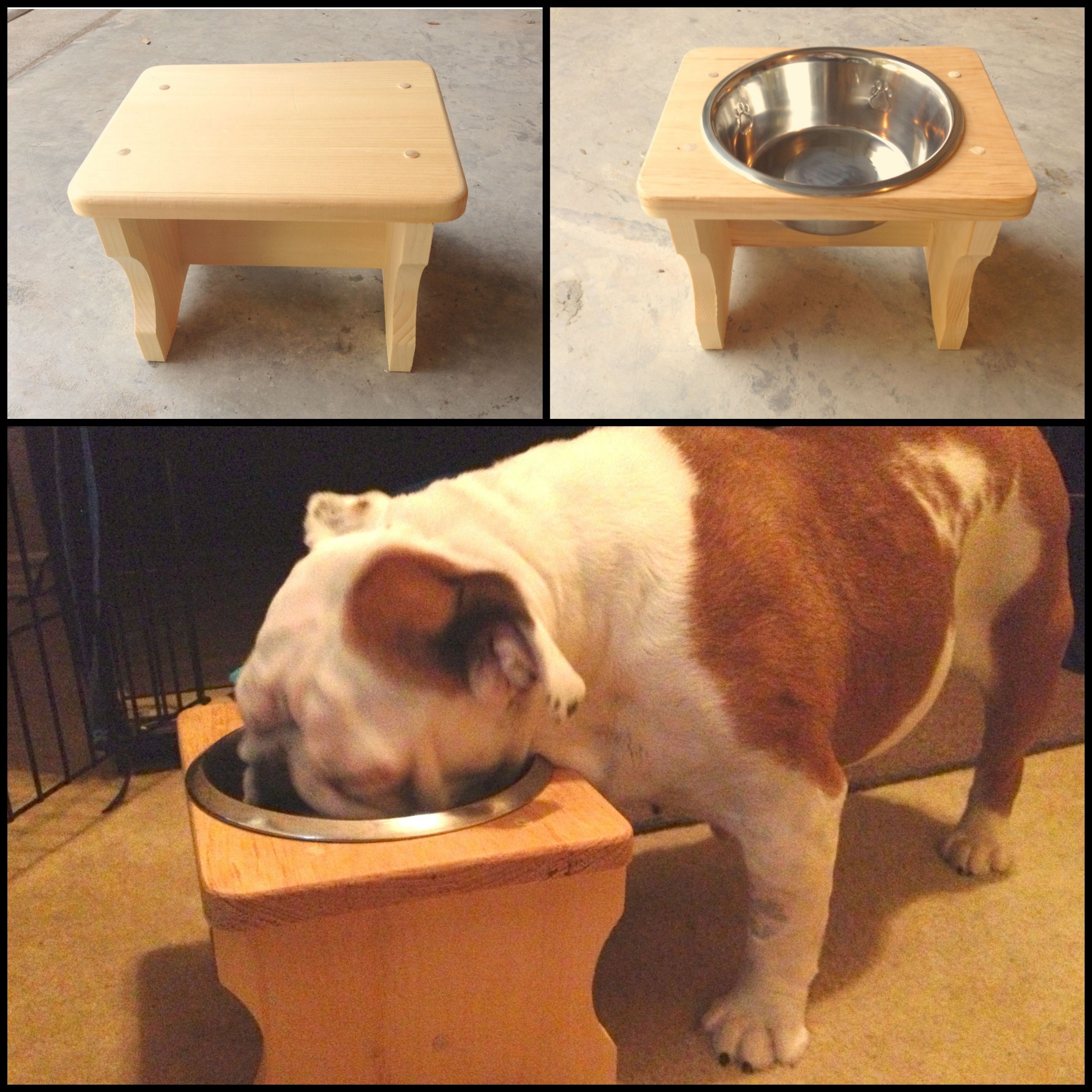 DIY Elevated Dog Bowls
 DIY Elevated Dog Feeder $11 stool from Hobby Lobby use a