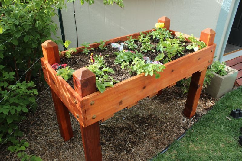 DIY Elevated Planter Box
 DIY Raised Planter Box – A Step by Step Building Guide