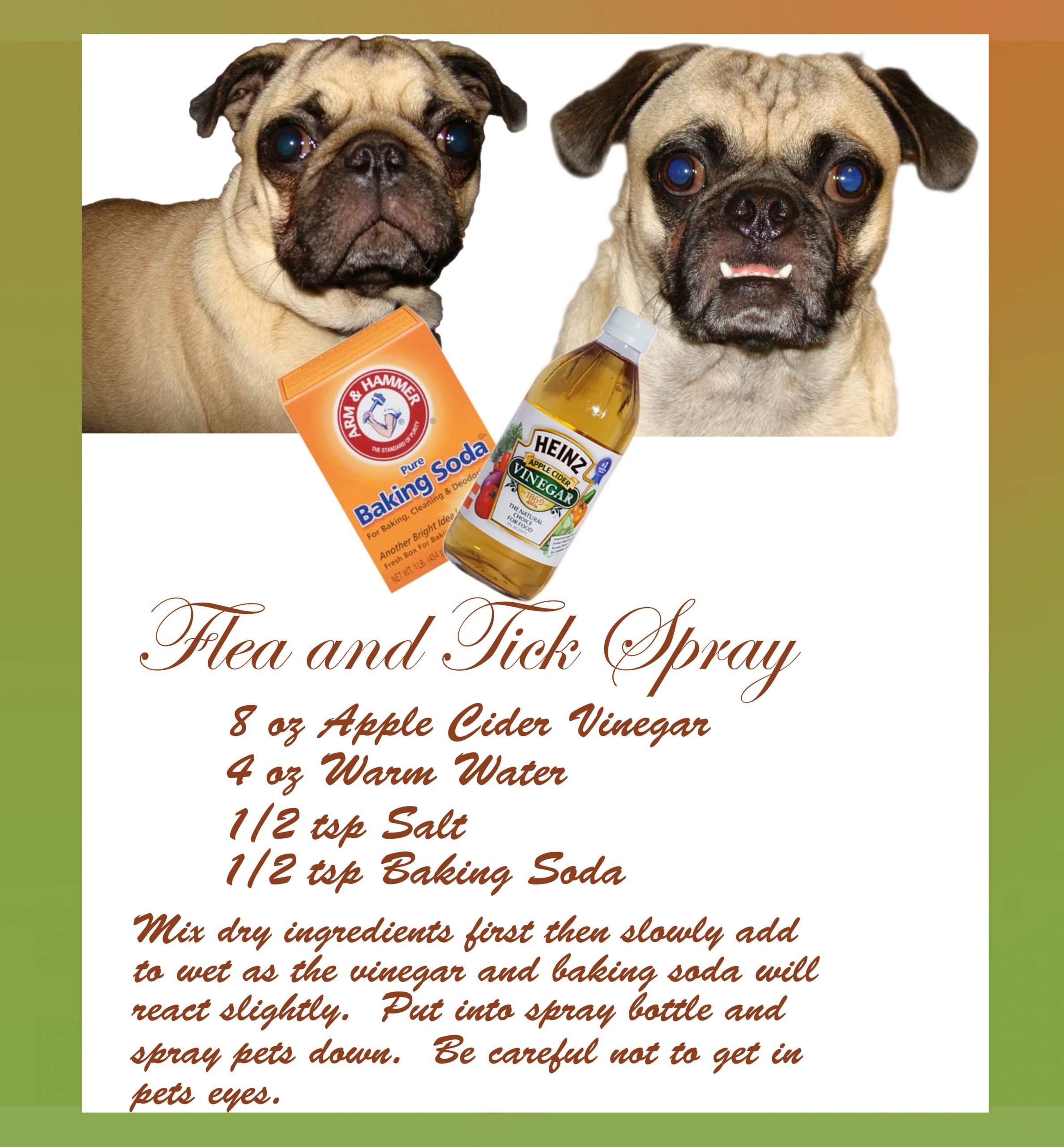 DIY Flea And Tick Spray For Dogs
 Residential Dog Training – Follow the Right Sequence of
