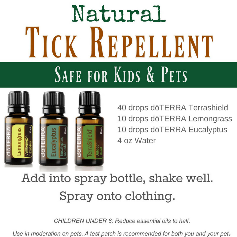 DIY Flea And Tick Spray For Dogs
 Natural Tick Repellent Sober Julie