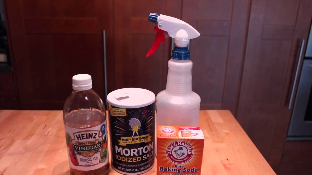 DIY Flea Killer For Dogs
 Homemade Flea & Tick Repellent for Pets