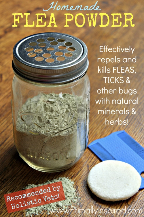 DIY Flea Killer For Dogs
 Homemade Flea Powder For Dogs Homestead & Survival