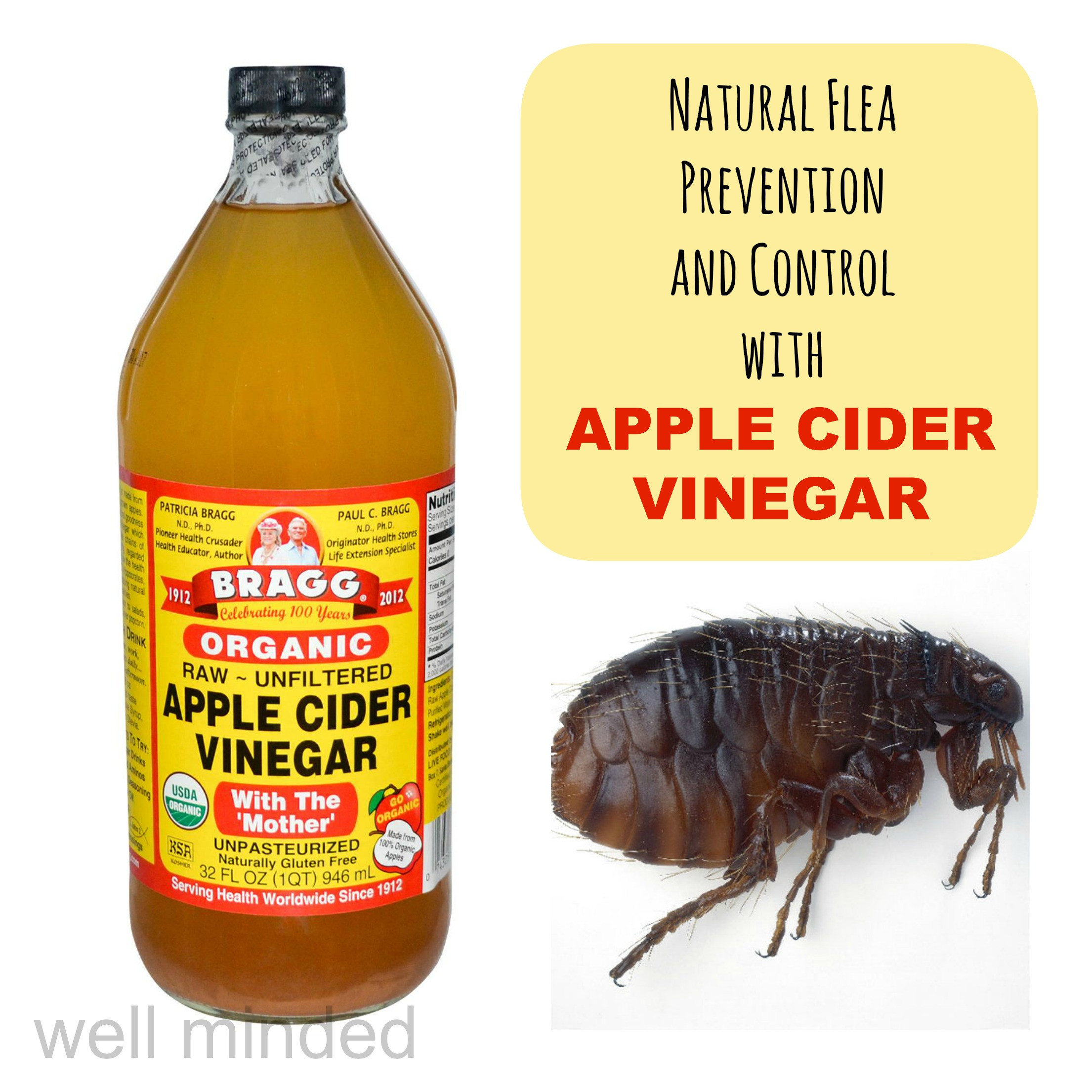 DIY Flea Treatment For Dogs
 Natural Flea Prevention and Control with Apple Cider