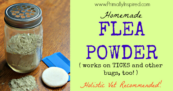 DIY Flea Treatment For Dogs
 All Natural Flea Control For Dogs And Cats