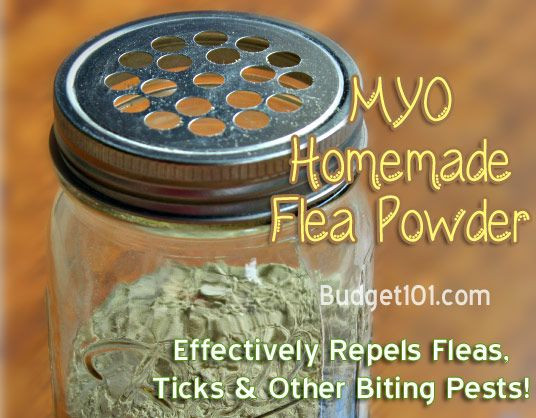 DIY Flea Treatment For Dogs
 Homemade Herbal Flea Powder