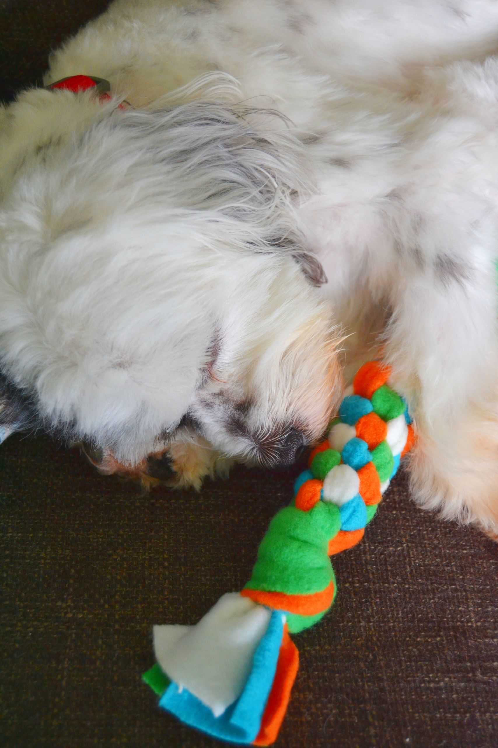DIY Fleece Dog Toy
 DIY Fleece Dog Toy Tutorial – Mary Martha Mama