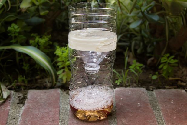 DIY Fly Trap Outdoor
 Homemade Fly Traps