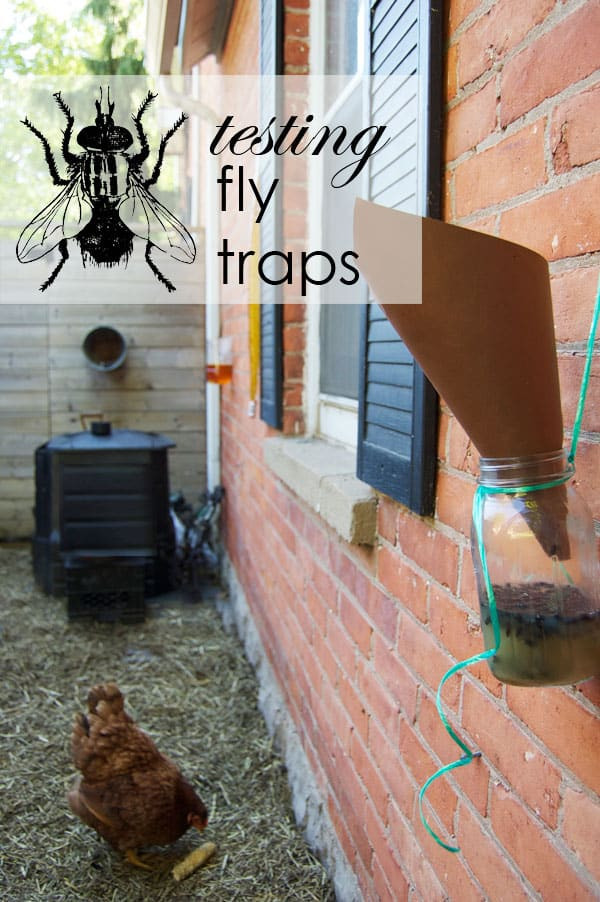 DIY Fly Trap Outdoor
 The Best Homemade Flytrap And it probably isn t the one