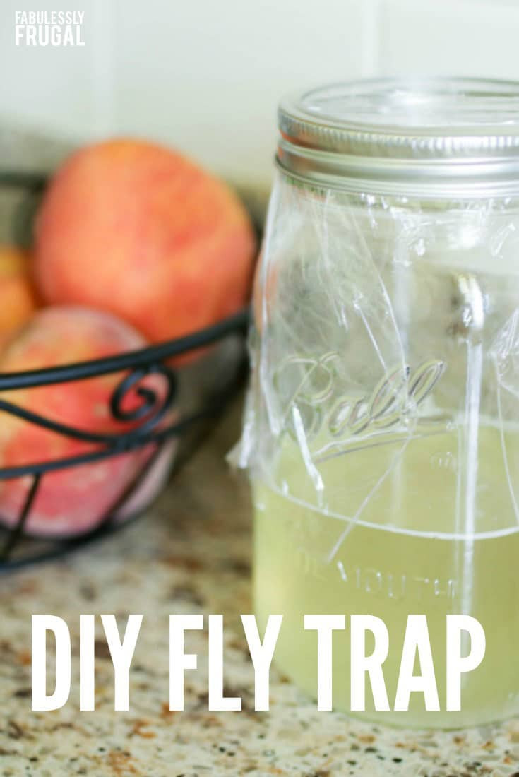 DIY Fly Trap Outdoor
 Say Goodbye to Flies with This DIY Fly Trap Fabulessly