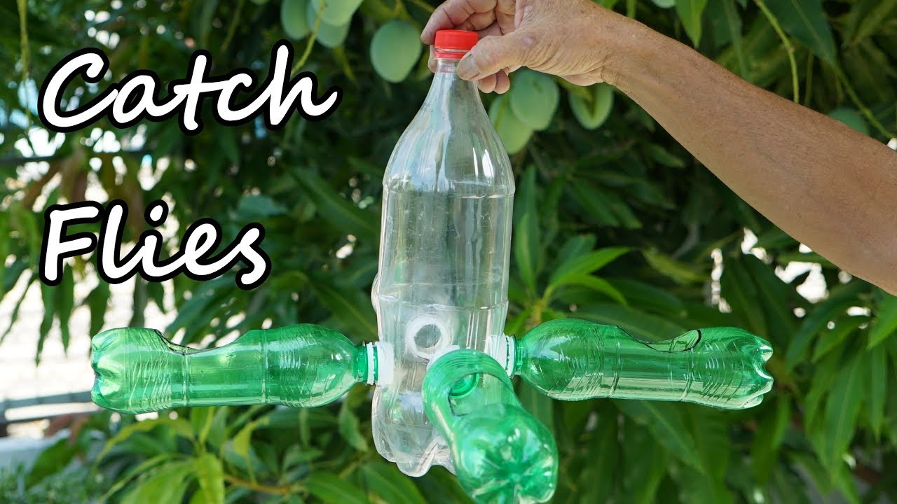 DIY Fly Trap Outdoor
 Make a DIY Fly Trap with Plastic Bottle