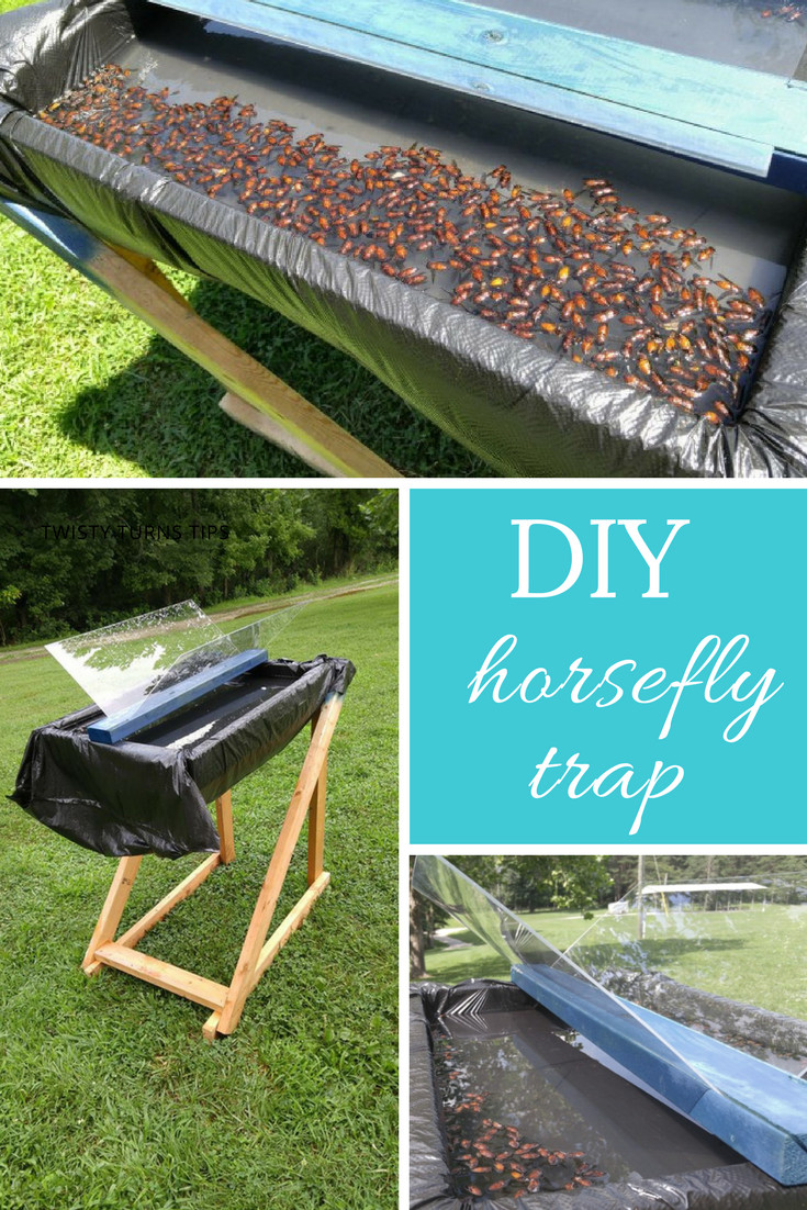 DIY Fly Trap Outdoor
 DIY Horsefly Trap It works like a charm and has inspired