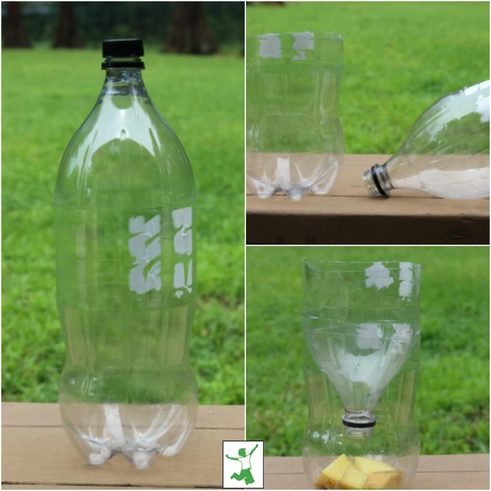 DIY Fly Trap Outdoor
 homemade fly trap AV IDOL