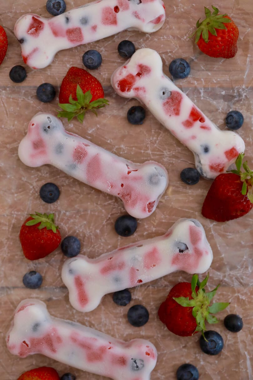 DIY Frozen Dog Treats
 Yogurt and Berries Dog Treats Gemma’s Bigger Bolder Baking