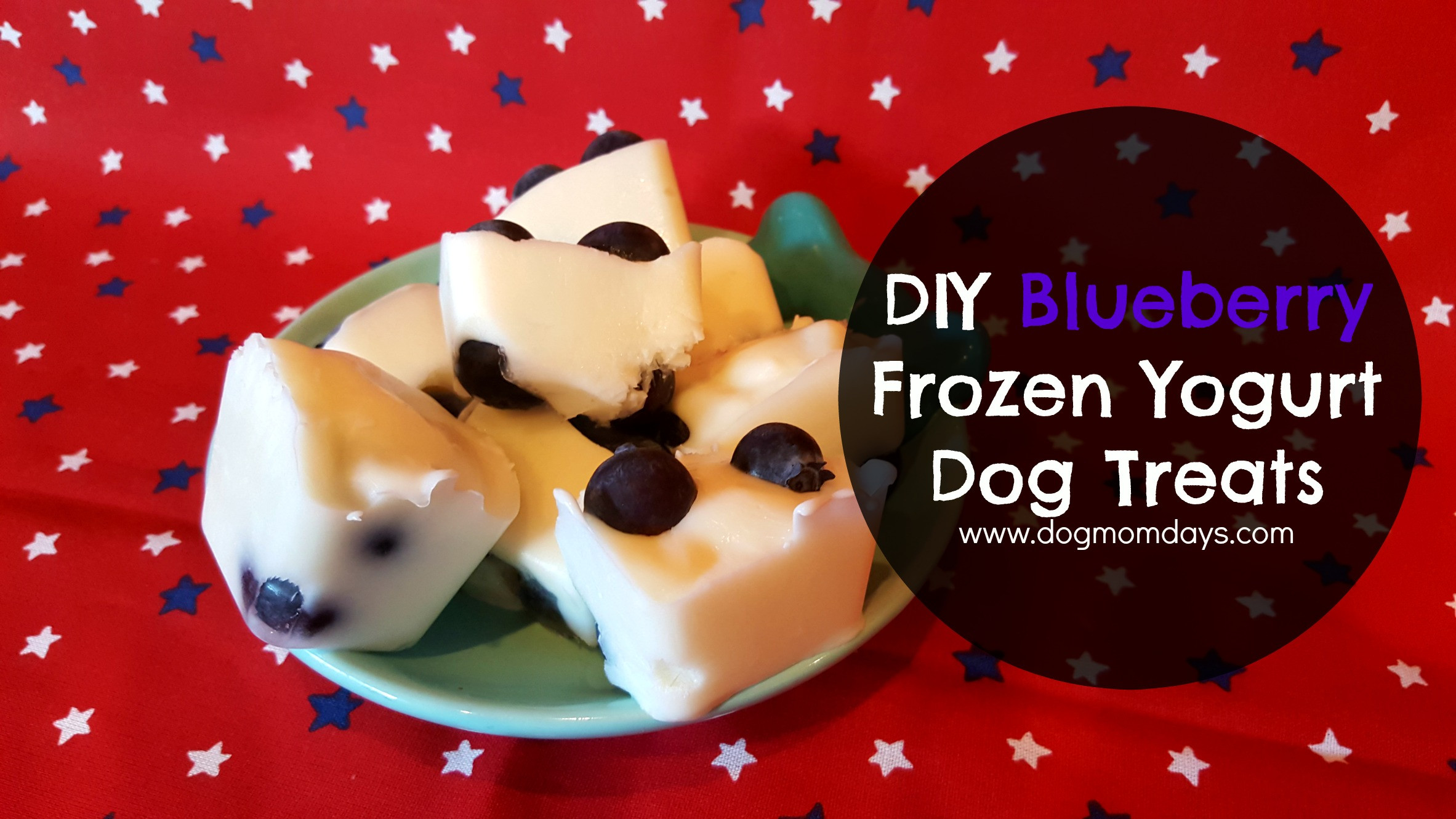 DIY Frozen Dog Treats
 DIY Blueberry Frozen Yogurt Dog Treats Dog Mom Days